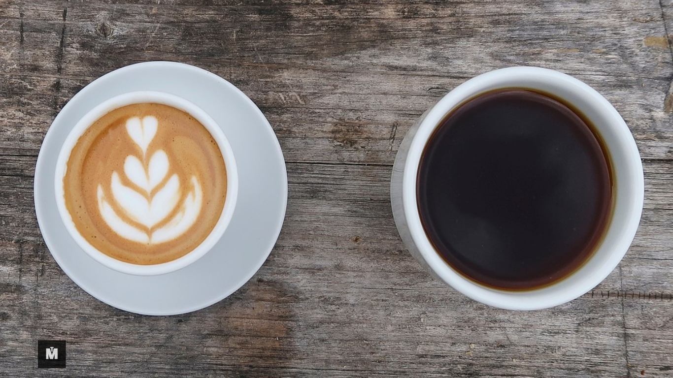 From Bean to Cup: A Journey Through Coffee History, Origins, and the Best Cafés