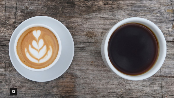 From Bean to Cup: A Journey Through Coffee History, Origins, and the Best Cafés